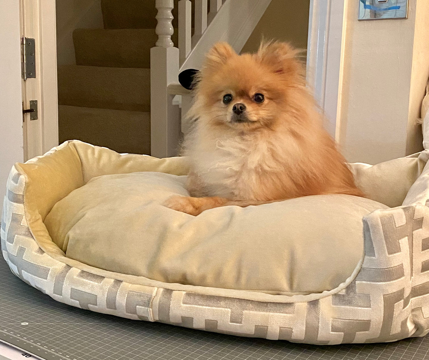 Aztech Cream & Gold Dog Bed