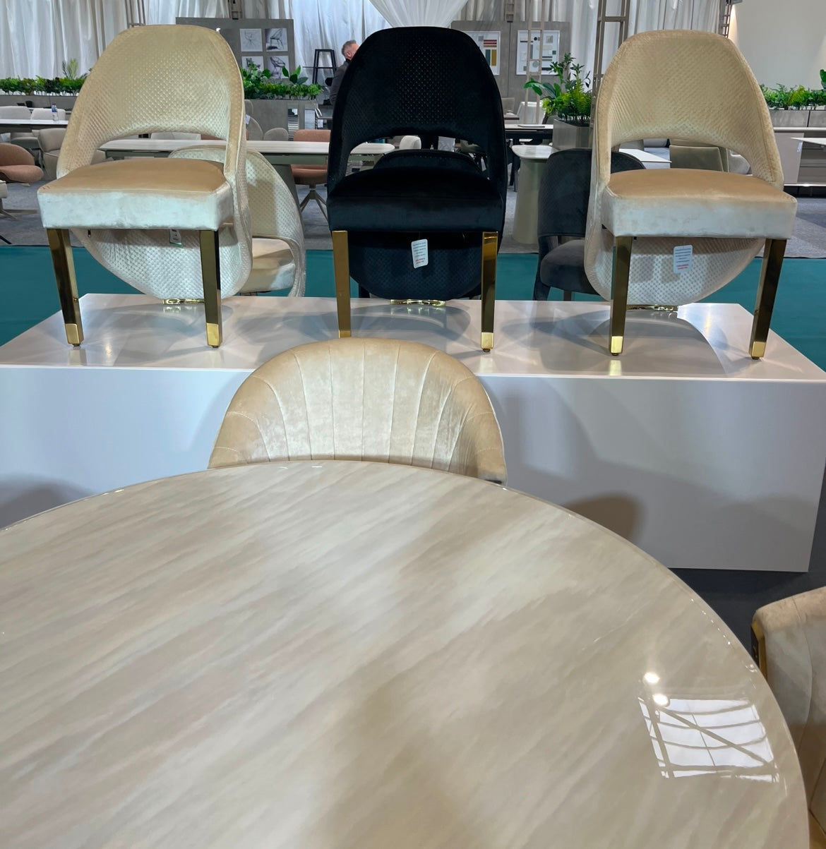 Fabi Black Velvet And Gold Dining Chair