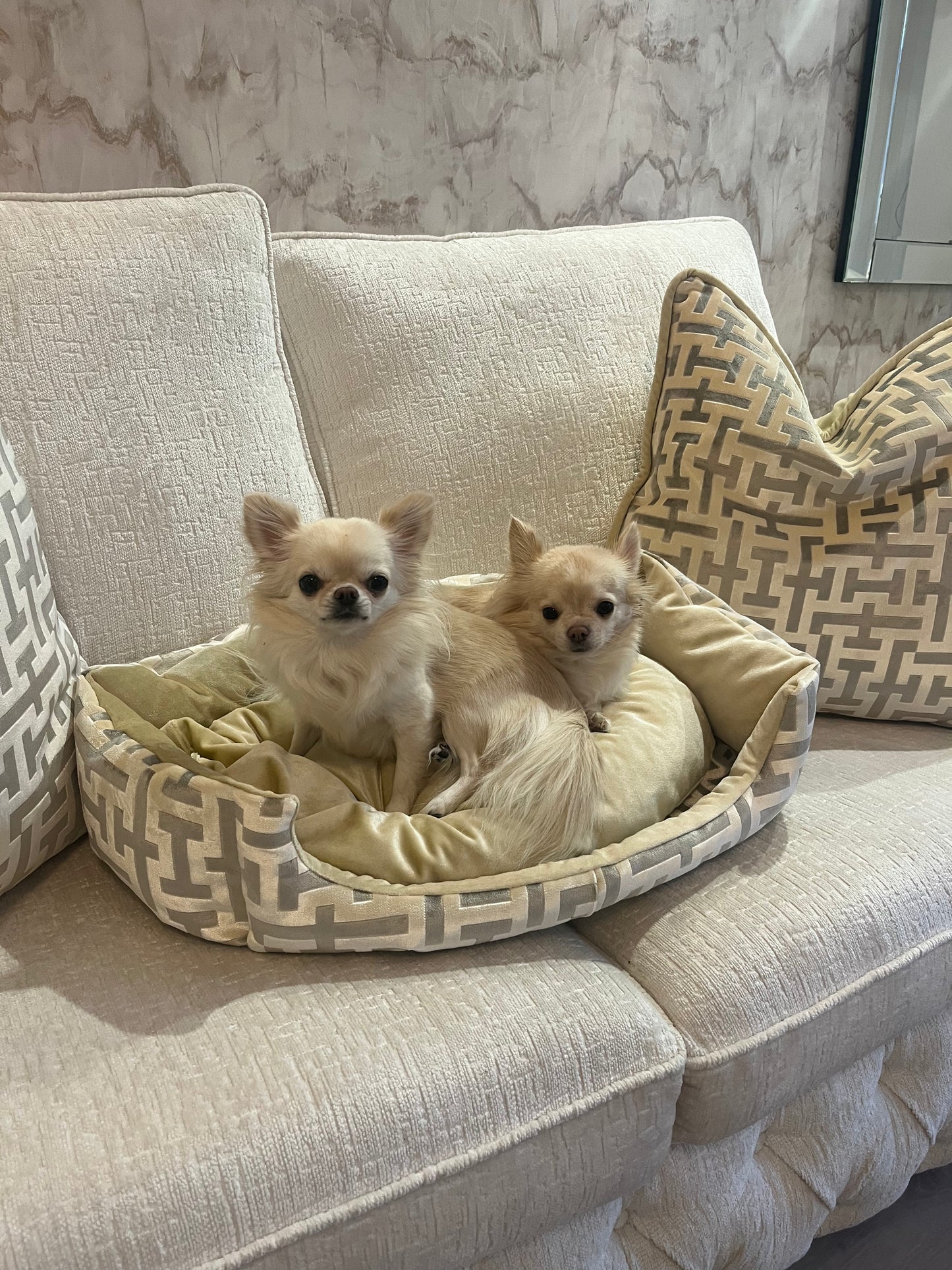 Aztech Cream & Gold Dog Bed