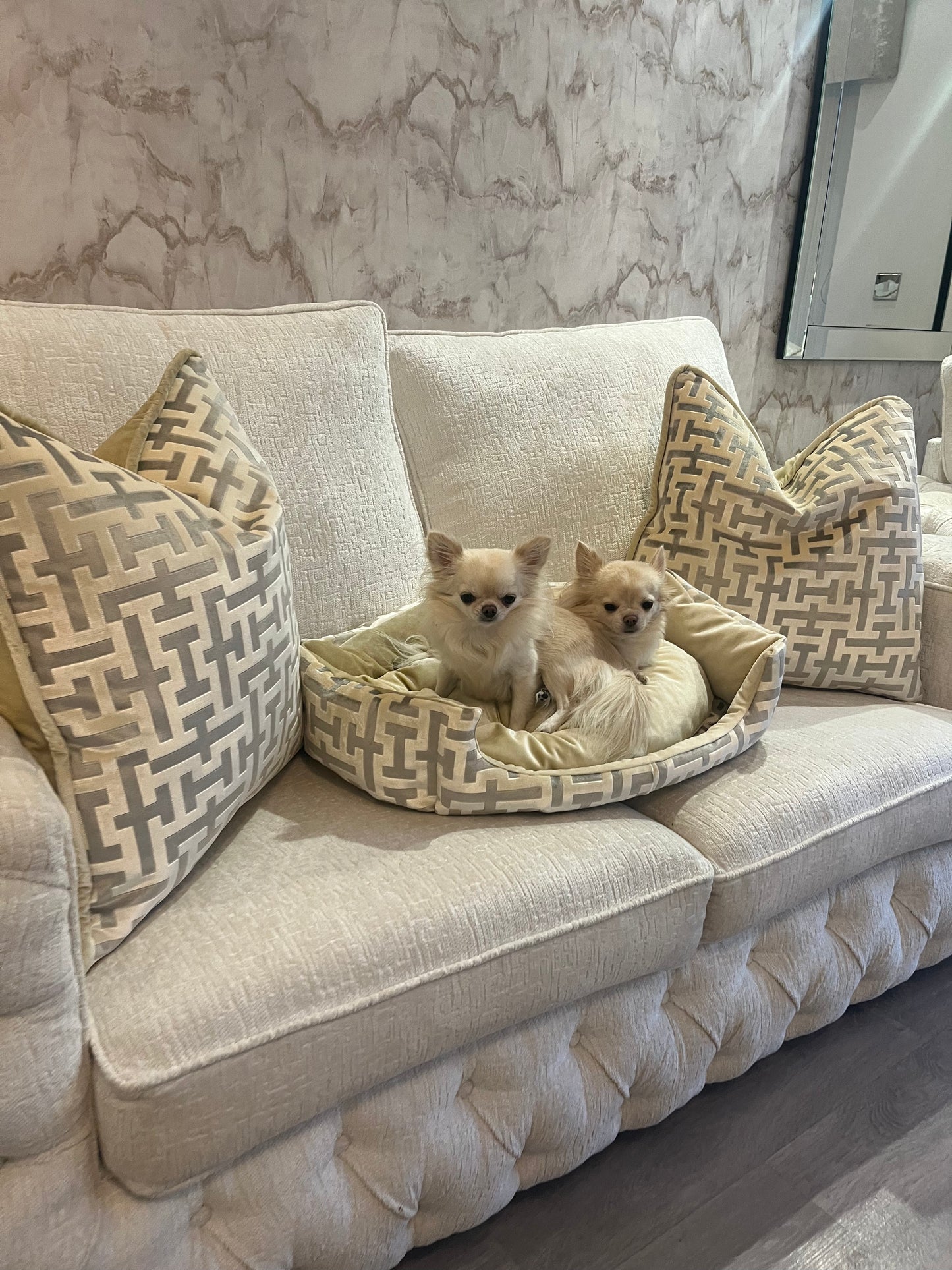 Aztech Cream & Gold Dog Bed