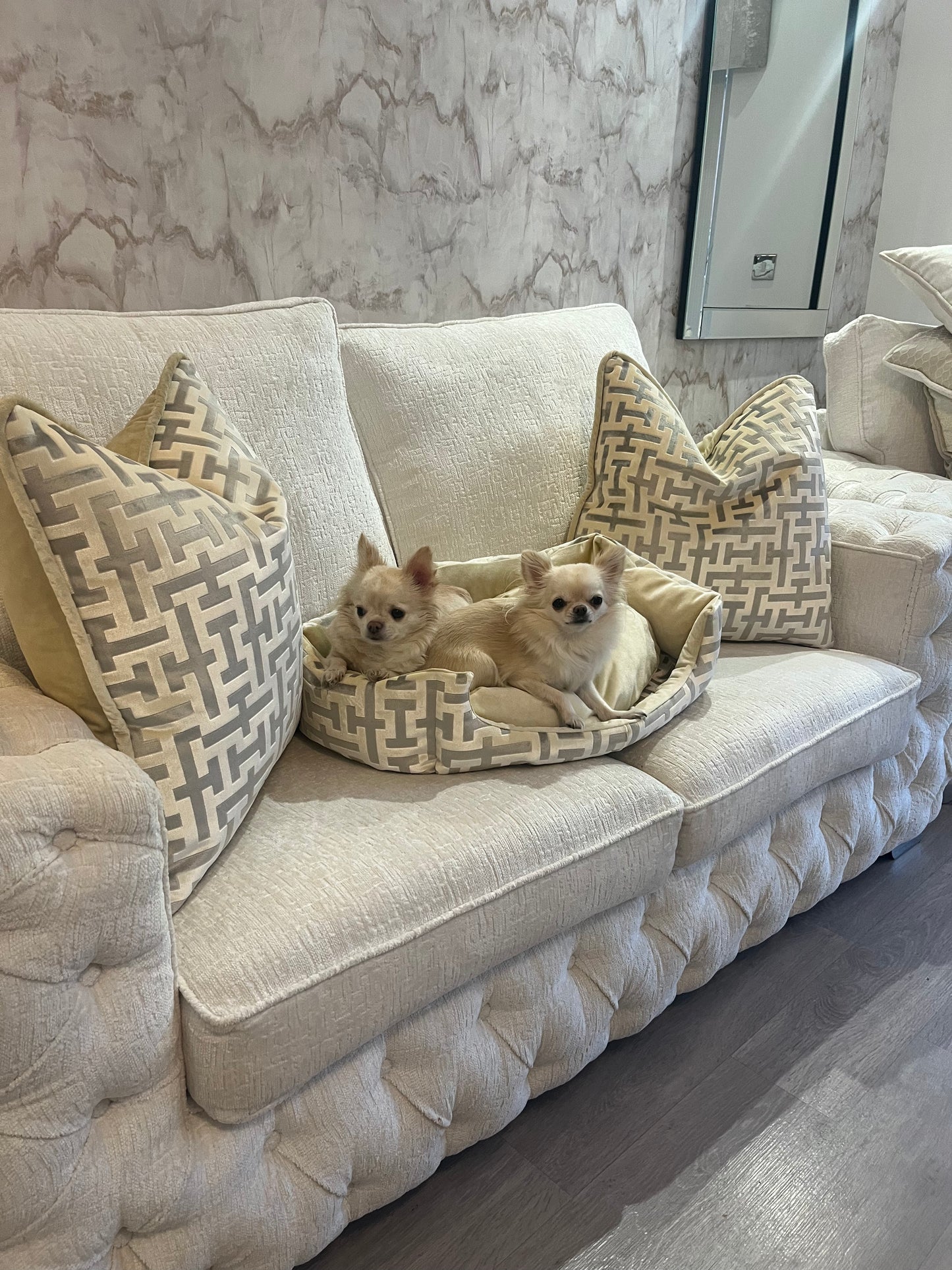 Aztech Cushion in Cream & Gold