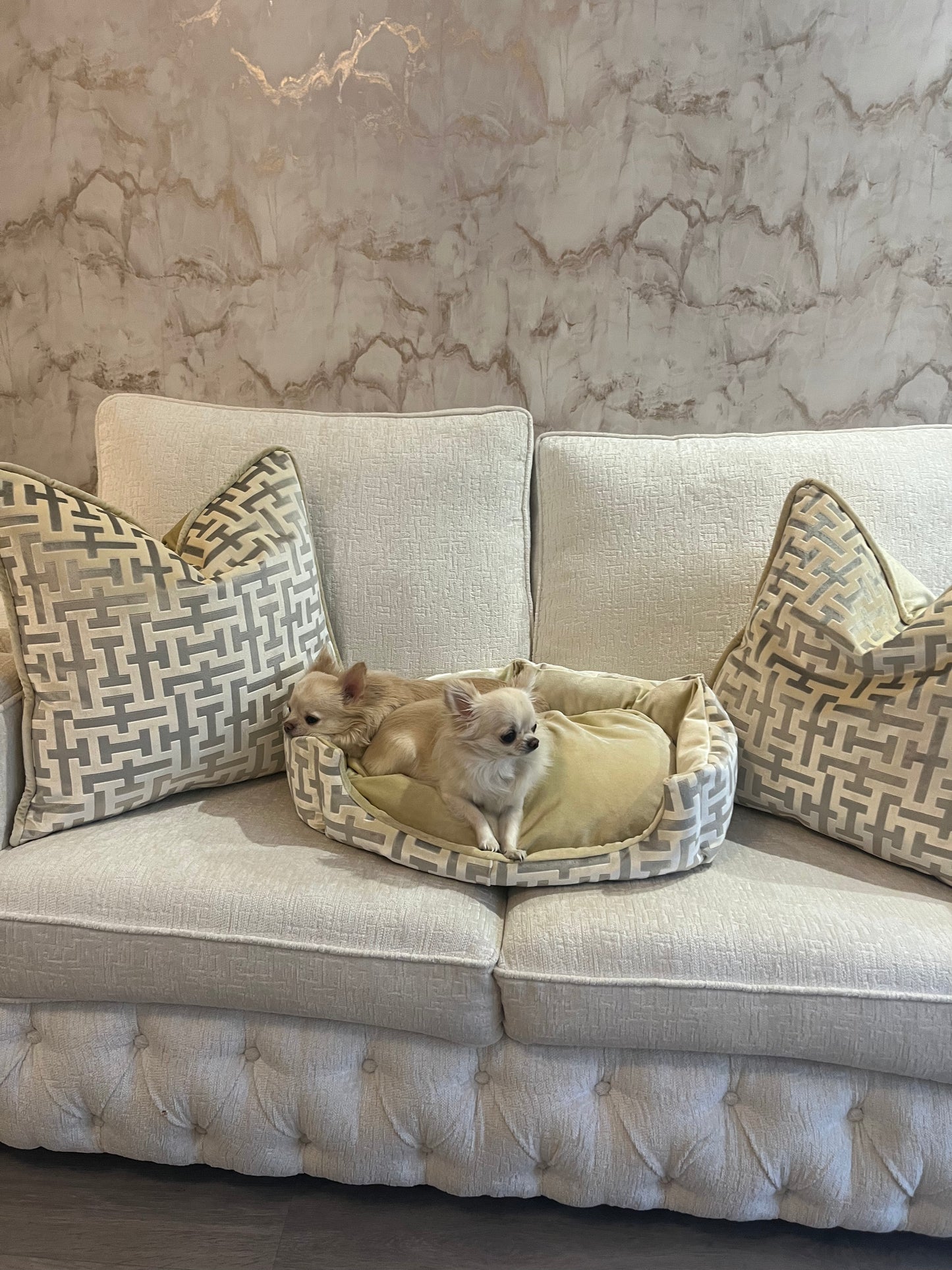 Aztech Cushion in Cream & Gold