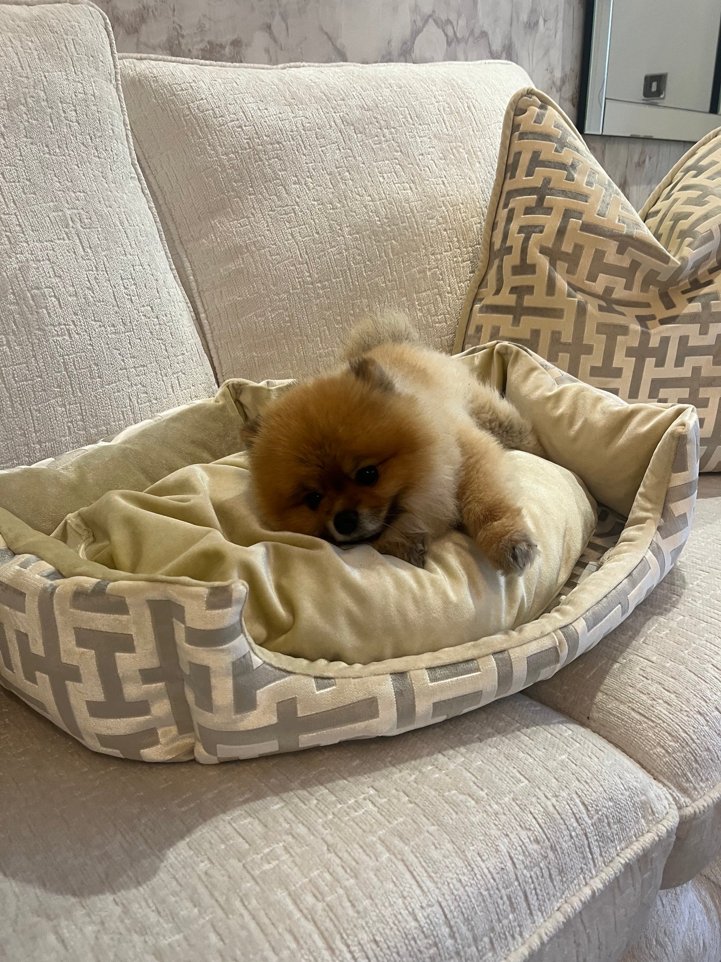 Aztech Cream & Gold Dog Bed