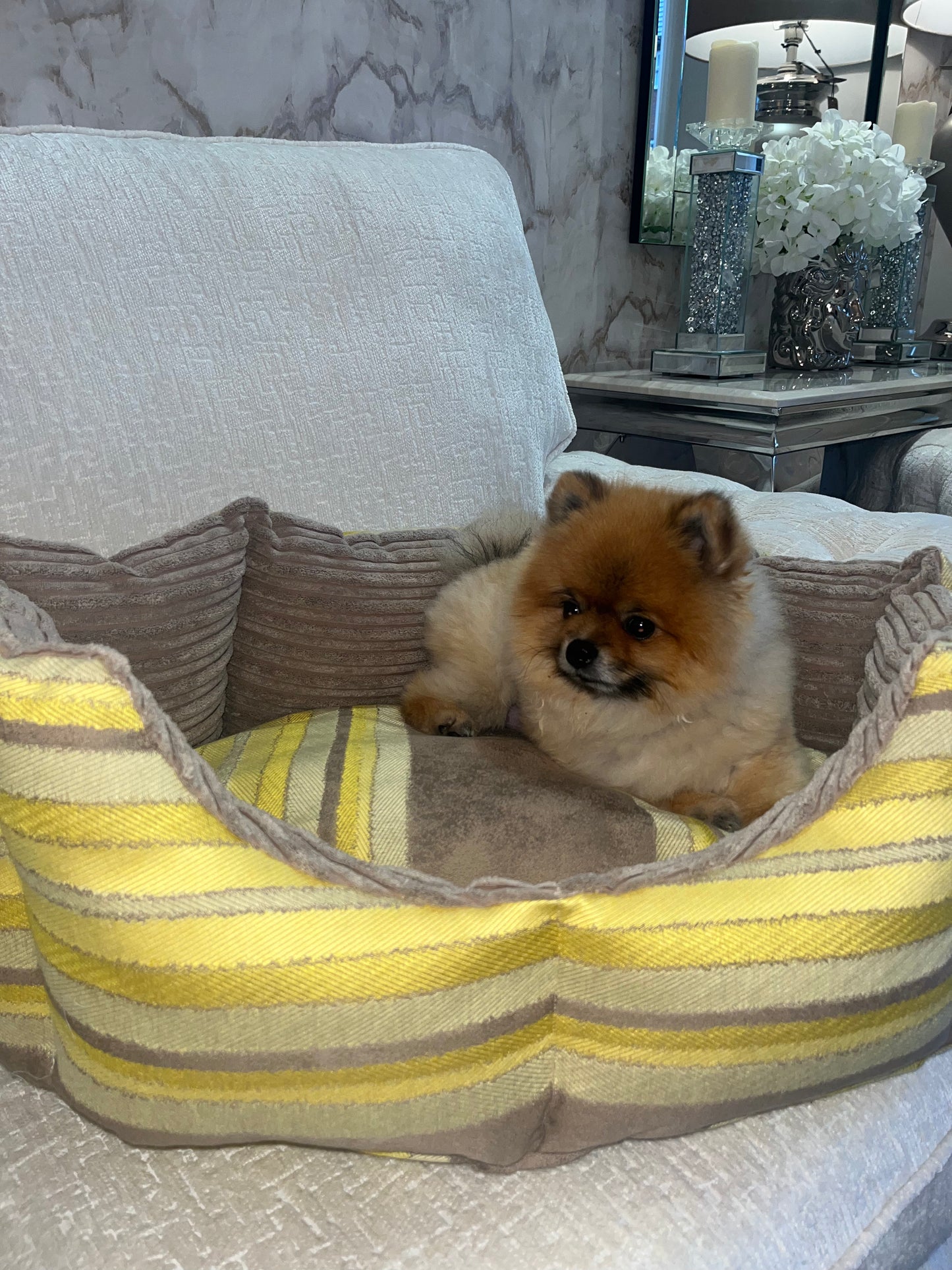 Beige And Yellow Striped Dog Bed