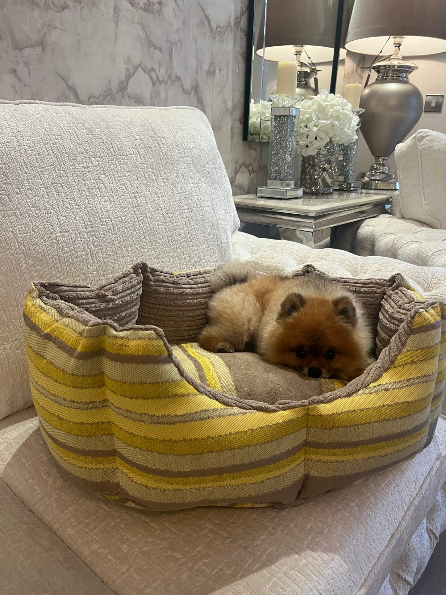 Beige And Yellow Striped Dog Bed