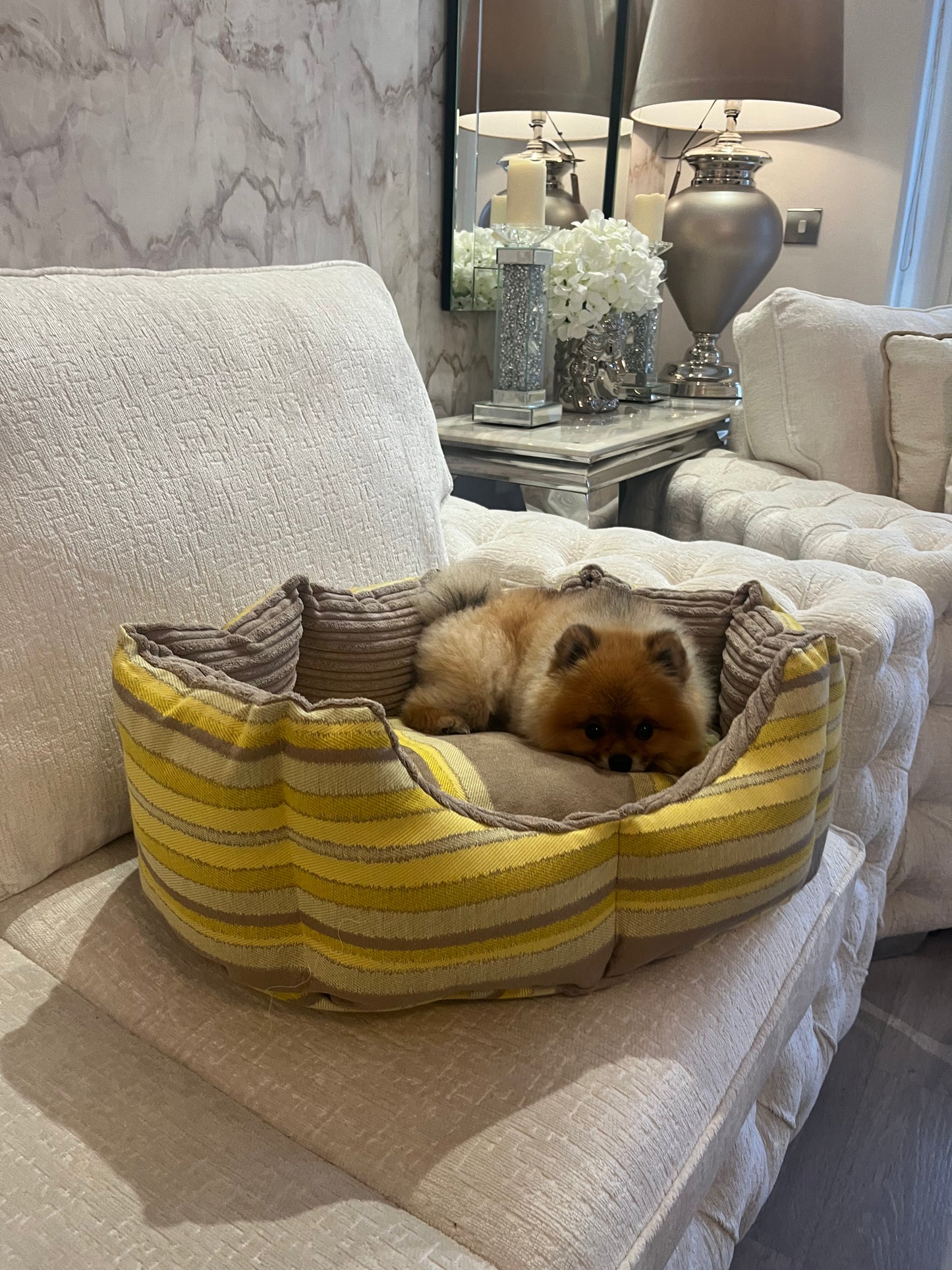 Beige And Yellow Striped Dog Bed