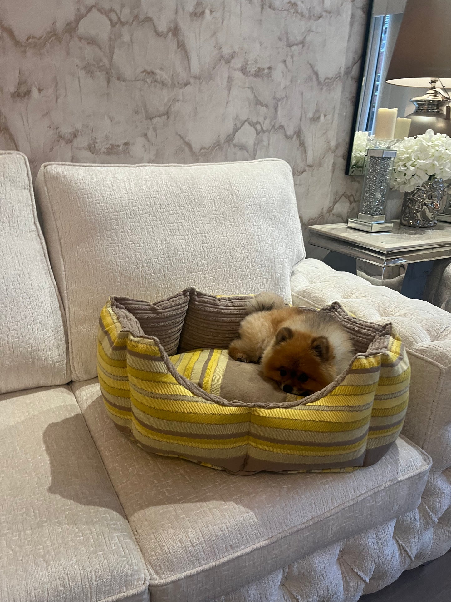 Beige And Yellow Striped Dog Bed