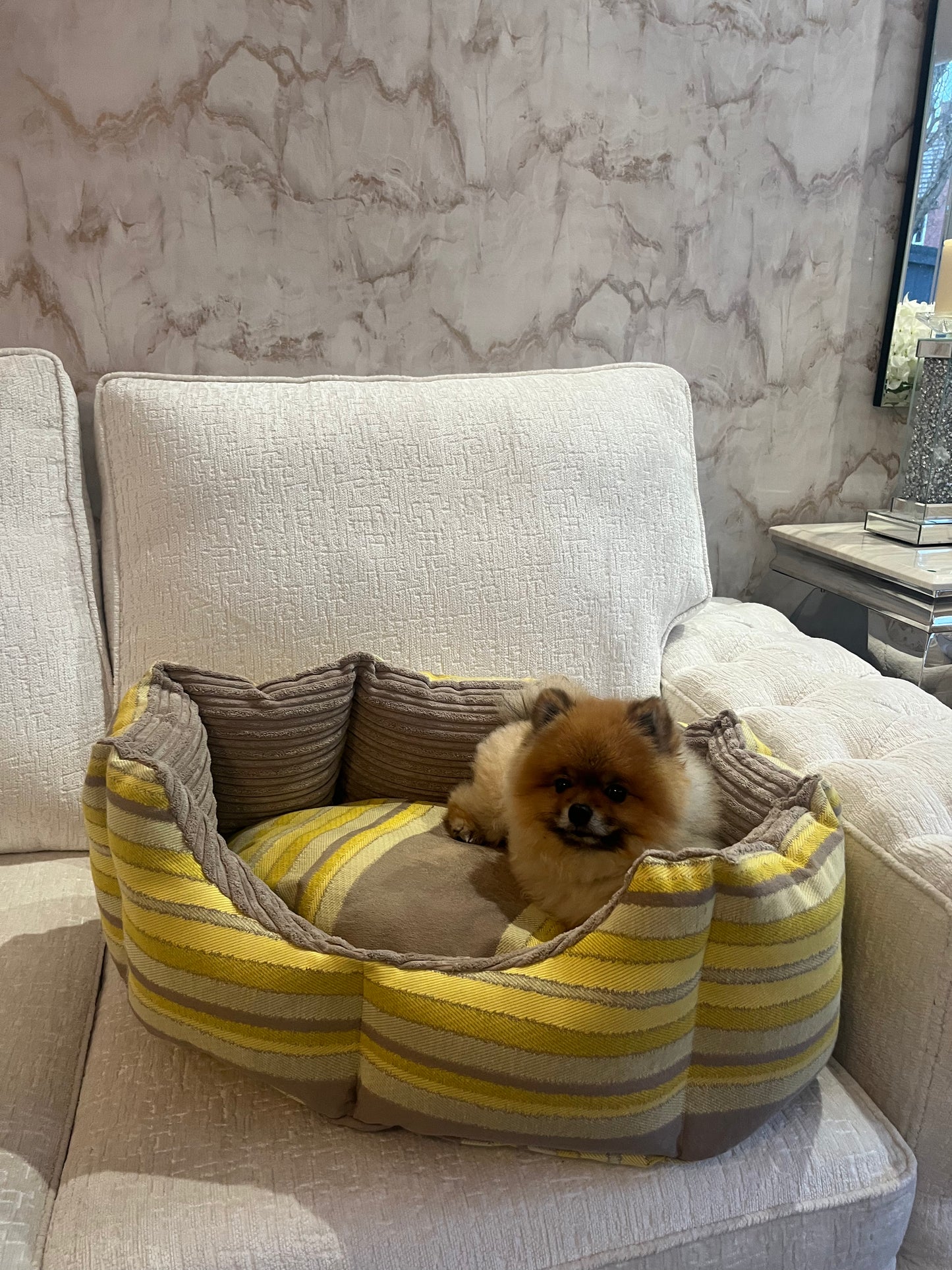 Beige And Yellow Striped Dog Bed