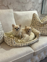 Load image into Gallery viewer, Aztech Cream &amp; Gold Dog Bed