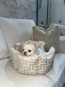 FF Beige And White Reversible Dog Bed