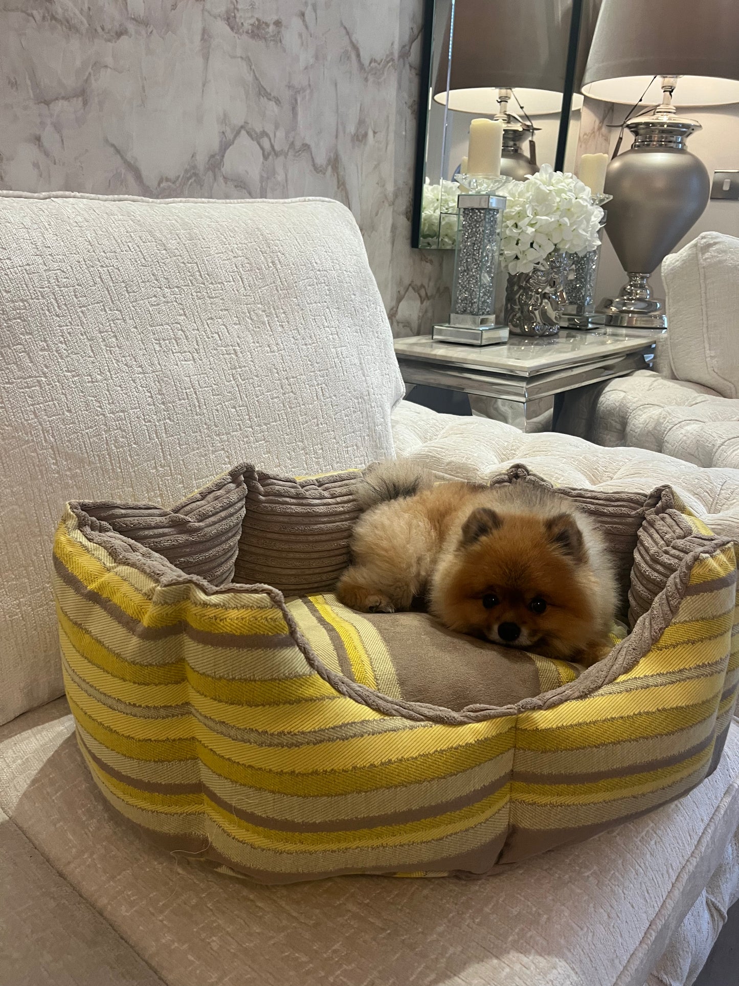 Beige And Yellow Striped Dog Bed