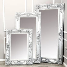 Load image into Gallery viewer, Roma Silver Mirror - ALL SIZES